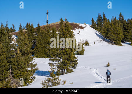 Male hiker with blue jacket and backbag walking with black dog through deep snow to summit of mountain Rennfeld in winter Stock Photo