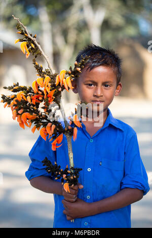 A kid is enjoying with spring flower of palash. Stock Photo