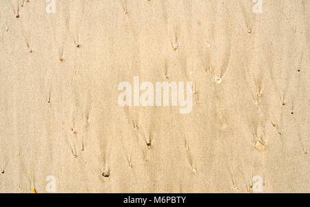 Natural repeating patterns in sand on the beach left behind as the tide and waves go out Stock Photo