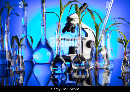 Plants in laboratory. Biotechnolgy concept. Blue background. Stock Photo