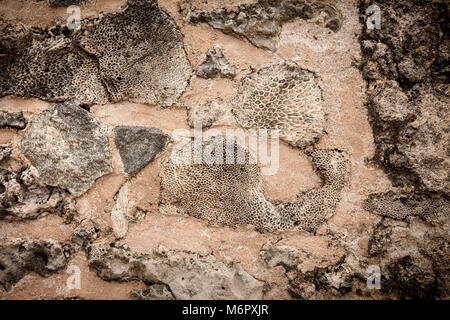 stone or rock background and texture, natural stone. (color toned image) Stock Photo