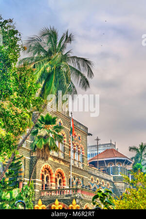 Palm tree at a palace in Mumbai, India Stock Photo