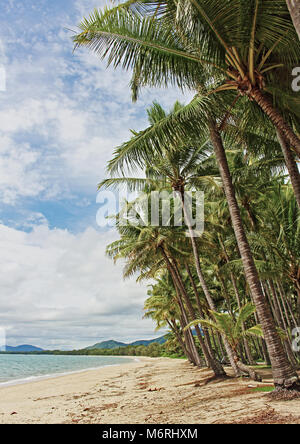 Palm Cove Beach, Cairns QLD - view of coconut palm treeline sandy beach and clear water as a tropical cyclone 'maybe' forms way out in the Coral Sea Stock Photo