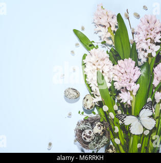 Quail nest with eggs and spring flower Stock Photo