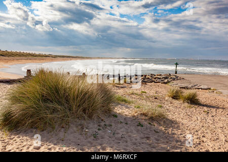 Grasses growing in the sand on Seaton Sluice beach, Blyth in the distant spray, Northumberland. UK Stock Photo