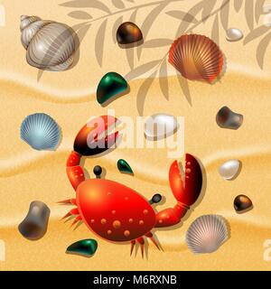 Shells, crab and sea colored pebbles on sand background. Vector illustration. Stock Vector
