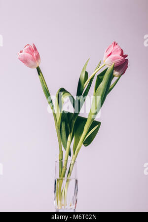 Pink tulips in a transparent glass with water, vertical framing Stock Photo