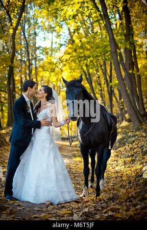 Full-length romantic wedding shot. The happy elegent couple of newlyweds is softly rubbing noses during their walk with black horse along the autumn forest. Stock Photo