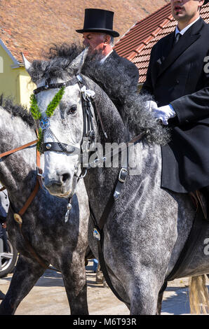 Sorbian easter riders (Osterreiter) and spectators attend the Easter procession in Radibor at Bautzen, Upper Lusatia, Saxony, Germany. Stock Photo