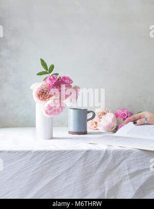 Indoor scene with David Austin pink roses in a white vase on tablle, with mug, and hand in the background holding book Stock Photo