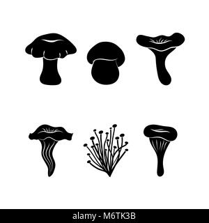 Different types of mushrooms Stock Vector