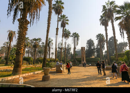 Date Palm trees (Phoenix dactylifera) at the open air museum at Memphis, Egypt, North Africa Stock Photo