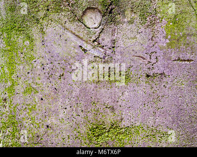 Moss covered reinforced concrete wall. Stock Photo