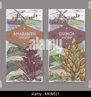 Set of two labels with Amaranthus cruentus aka amaranth and Chenopodium quinoa color sketch. Cereal plants collection. Stock Vector