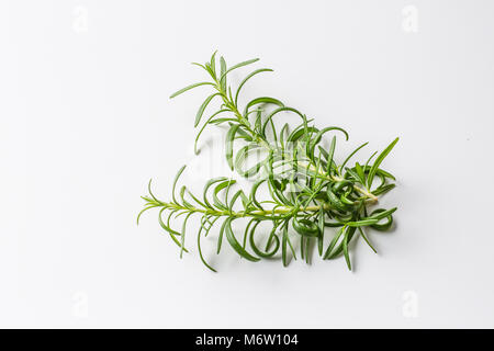 Rosemary. Twig of rosemary isolated on white. Stock Photo