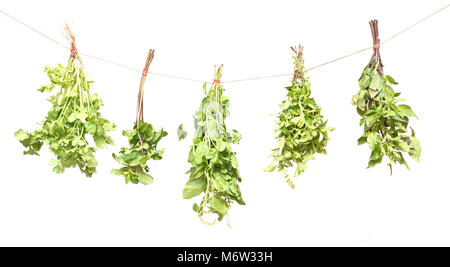 Hanging fresh herbs isolated on white background. Basil, mint, parsley Stock Photo