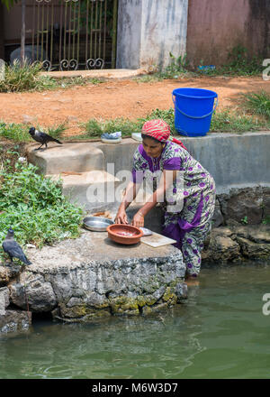 Woman preparing fish while birds watch on riverbank in Kerala Backwaters at Alappuzha (Alleppey) Stock Photo