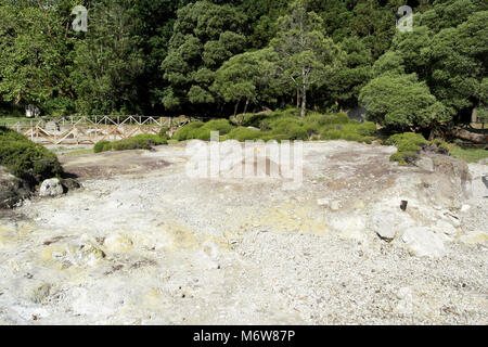 Furnas, Sao Miguel island, Portugal Stock Photo