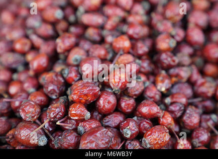 Dried dog rose rosa canina berries in an oriental bazaar Stock Photo