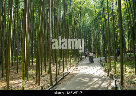 People visiting and walking at the bamboo forest at Arashiyama in Kyoto, Japan Stock Photo