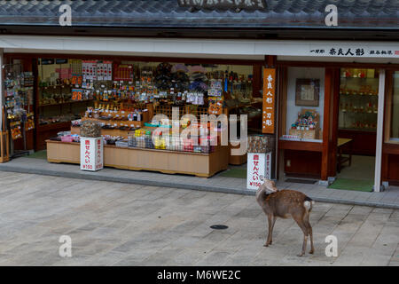 Deer in the street in front of a gifts shop in Nara, a major tourism destination in Japan Stock Photo