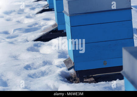 Winter country scene with beehives covered with snow Stock Photo