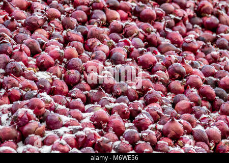 Light covering of snow on a pile of red onions. Stock Photo