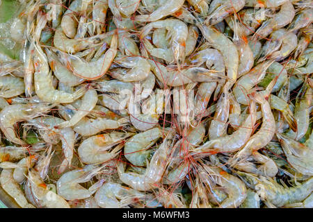 Shrimps, prawns are displayed for sale in the street market of town Stock Photo