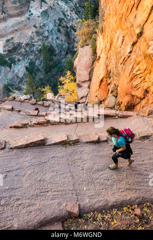 Walter's Wiggles On The Angels Landing Trail, Zion National Park, Utah ...