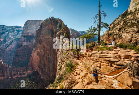 Hiker at Angels Landing Trail, final ascent near Scout Lookout, Zion Canyon on left, Zion National Park, Utah, USA Stock Photo