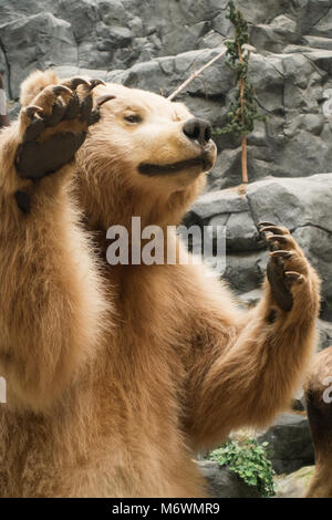 Cabela's store in Hamburg PA Stock Photo