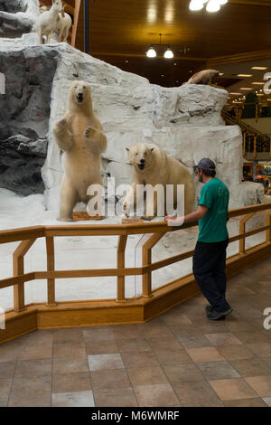 Cabela's store in Hamburg PA Stock Photo