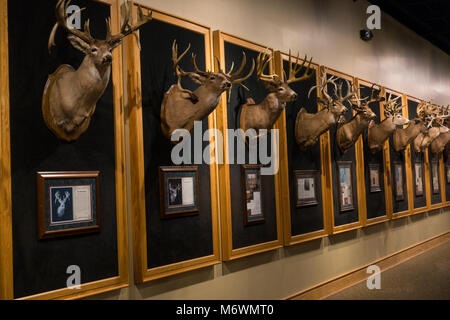 Cabela's store in Hamburg PA Stock Photo