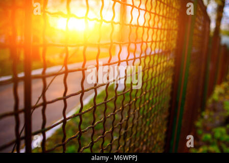 fence with metal grid in perspective, background Stock Photo