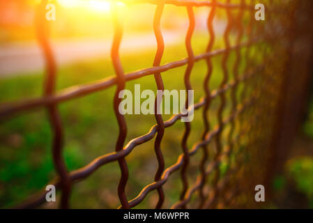 fence with metal grid in perspective, background Stock Photo