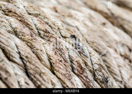Rope wound around a winch close up Stock Photo