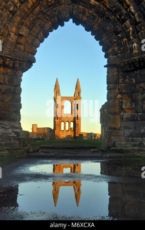 St Andrews Cathedral with St, Rules tower in the foreground - fife, scotland Stock Photo
