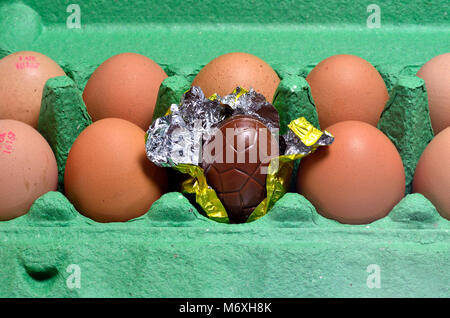 Chocolate Easter egg in an egg box of real eggs Stock Photo