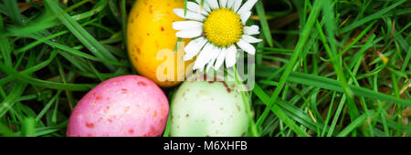 Small easter eggs nestled in the grass with a daisy Stock Photo