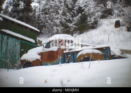 A blue 1954 Chevrolet pickup truck in a snow in the old mining town of Tower, Montana. Stock Photo
