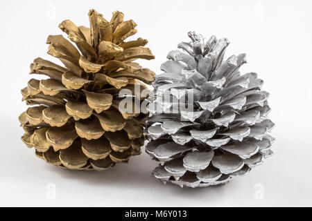 Two pine cones isolated on white background Stock Photo
