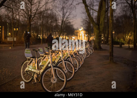 Bicycles in the Tiergarten at night, Berlin, Germany Stock Photo