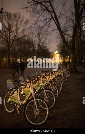 Bicycles in the Tiergarten at night, Berlin, Germany Stock Photo