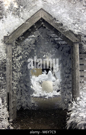 Infrared image of wooden archway trellis with climbing plants, large clay pot in background Stock Photo