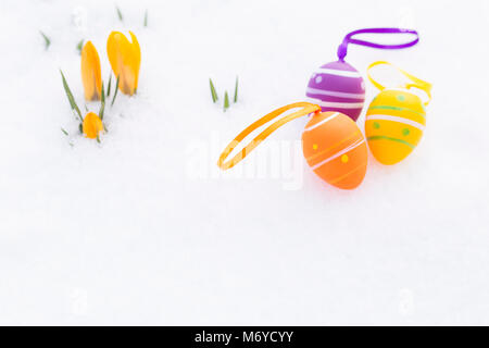 Closeup of purple, orange and yellow easter eggs with ribbons and decorated with stripes and dots laying besides fresh crocus blossoms outdoors on sno Stock Photo