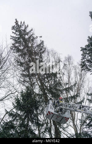 Karpacz, Poland -  February 2018 : Firefighters on the extendable crane  cutting branches of a tree for safety reasons after heavy snowfall Stock Photo