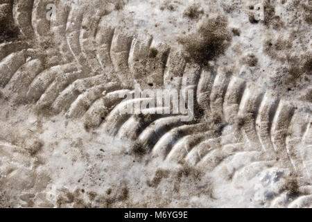 Diagonal traces of car tires on a dirty snow. Close up view from above Stock Photo