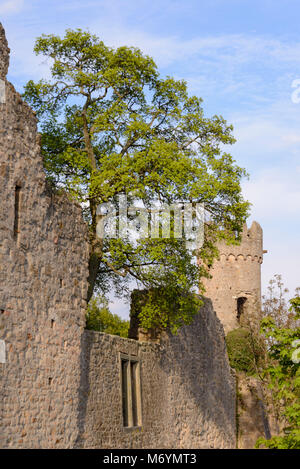 Heppenheim, Starkenburg Hessen, Deutschland, Europa Stock Photo