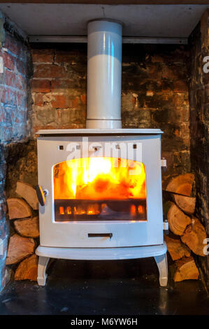 A wood burning stove alight in a fireplace with cut logs stacked on either side. Stock Photo