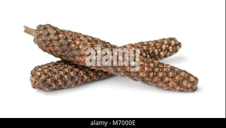 close up of dried long pepper isolated on white background Stock Photo